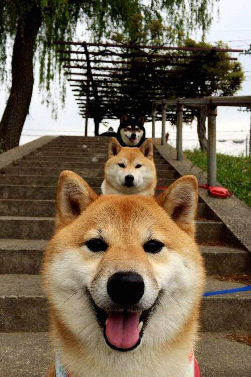 2026世界杯焦点战，当美国队斩落蓝军军团