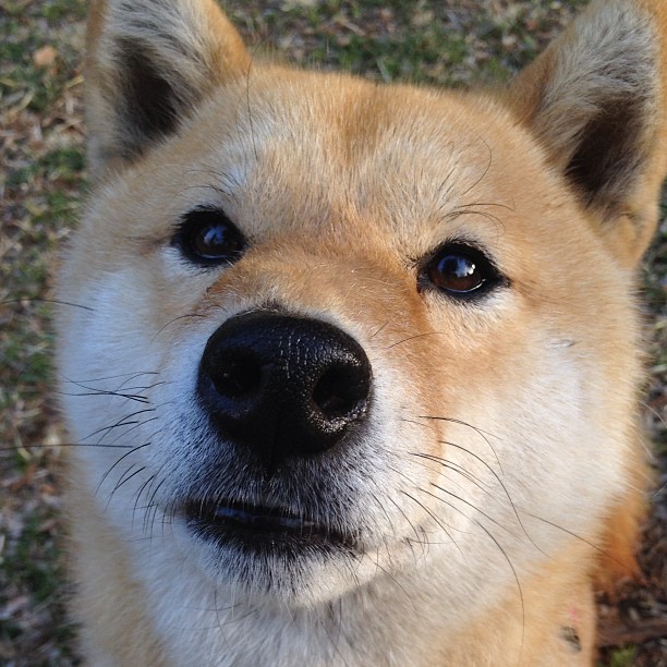 德罗赞总决赛之夜，攻防一体，统治赛场