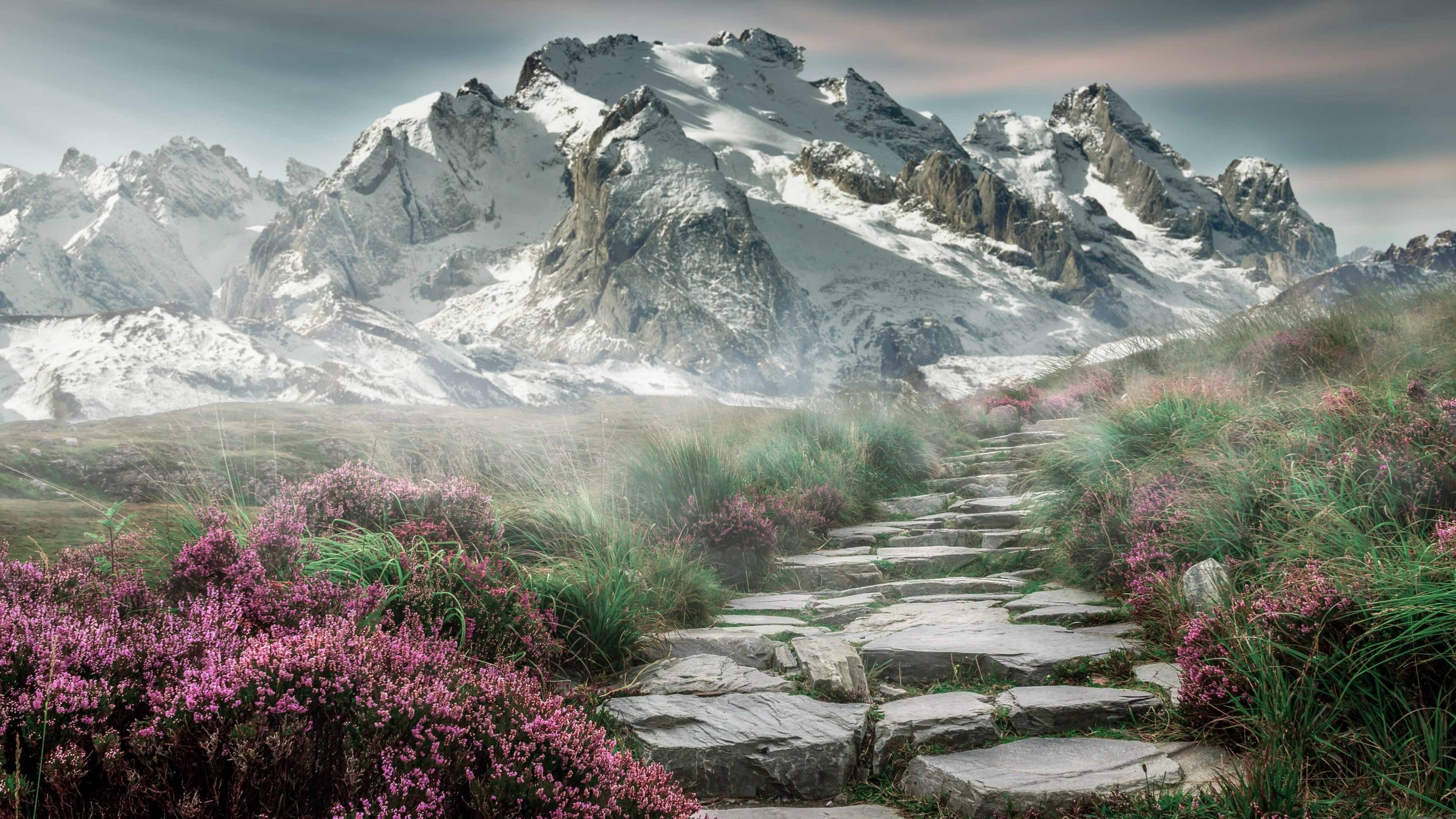 骑士的镰刀，当凛冬突至，霍勒迪成为收割太阳的关键先生