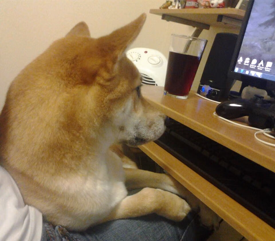 封锁与舞台，当钢铁防线遇见季后赛之光