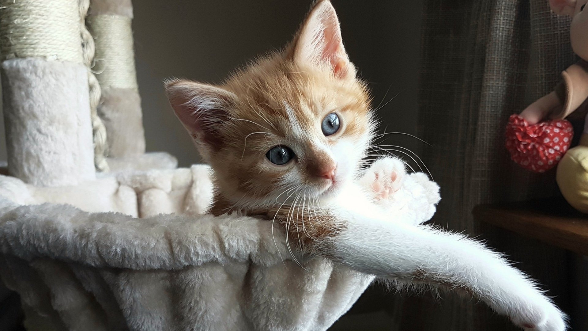 虚拟成真!深圳队异域破壁力克快船,老将保罗关键战展硬汉本色