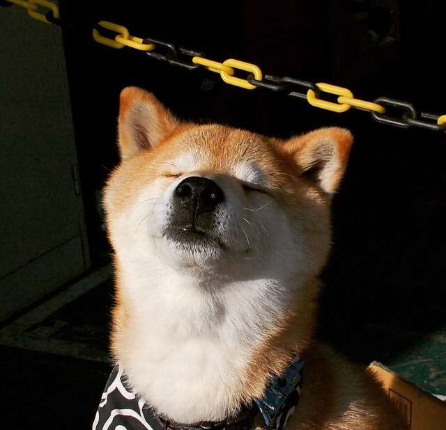 雷火电竞官网-寒夜中的逆袭，当全黑不再沉默，厄德高如何用一脚改写百年叙事