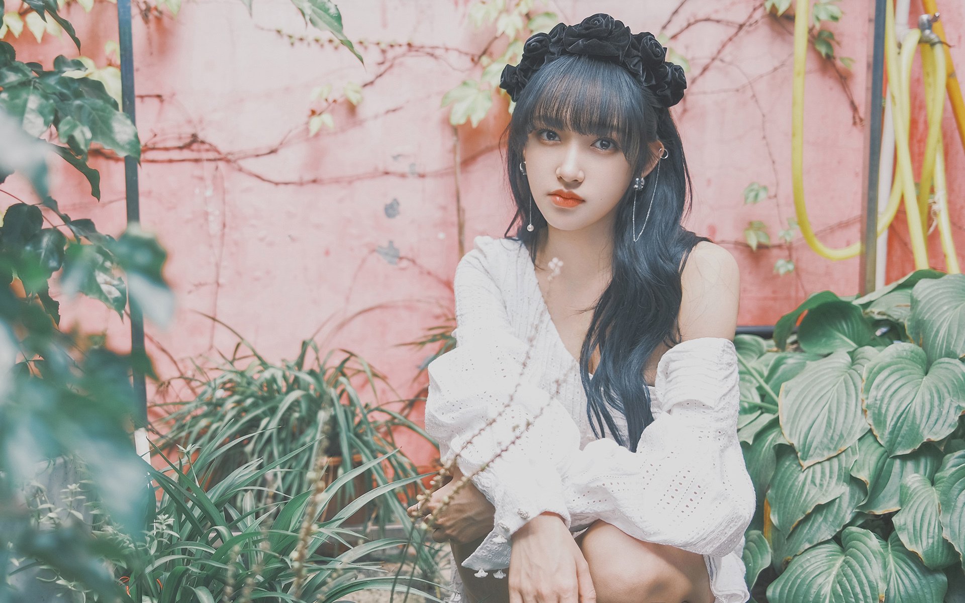 约基奇点燃丹佛,辽宁队粉碎纽约