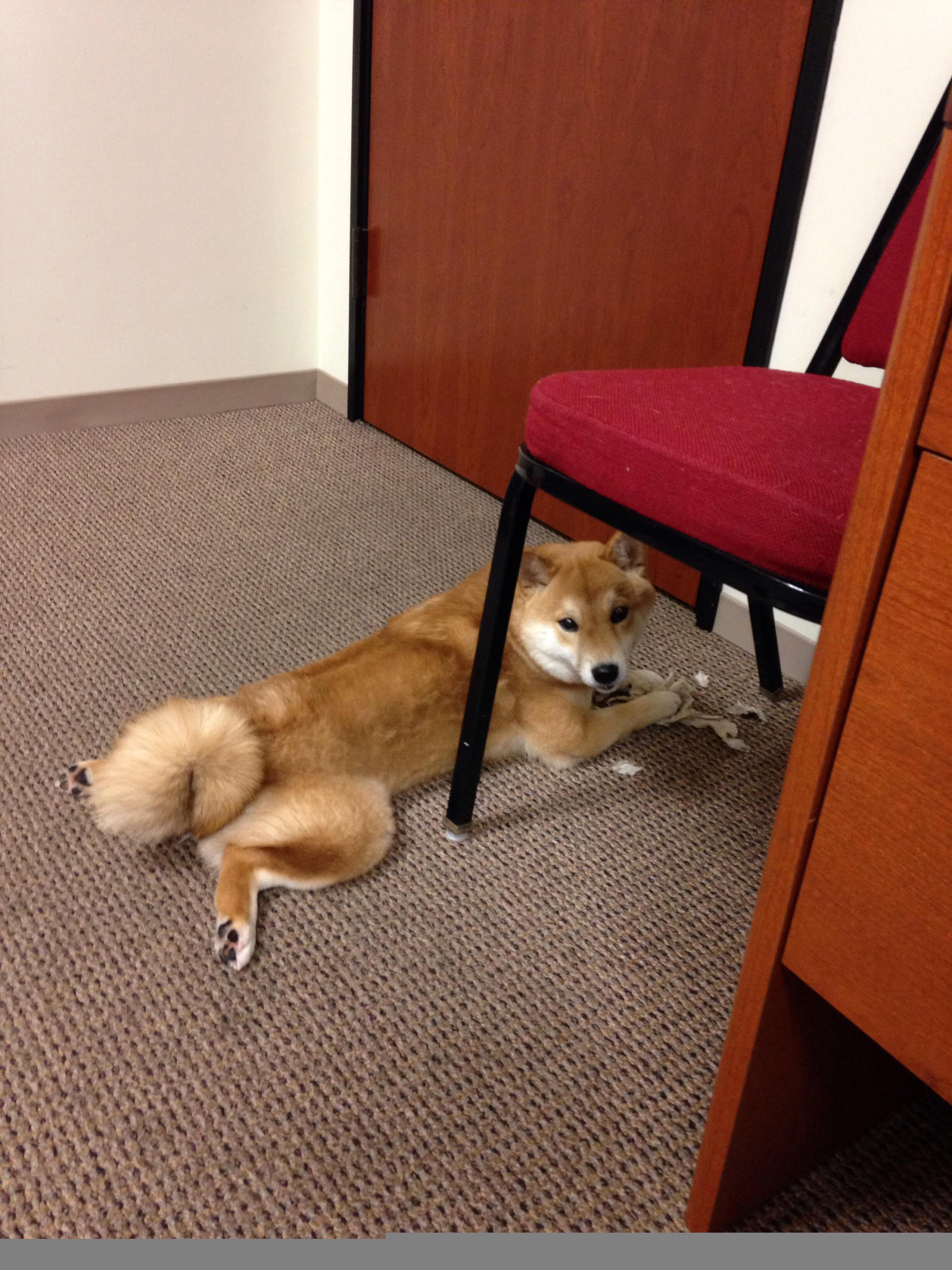 逆流之战，森林狼啃下湖人，西部王座暗潮涌动