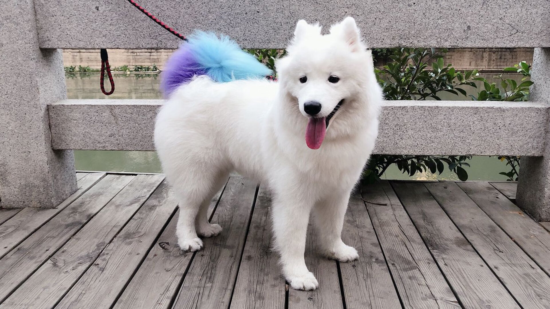 铁血之墙对艺术之矛，基耶萨刹那寒光改写战局