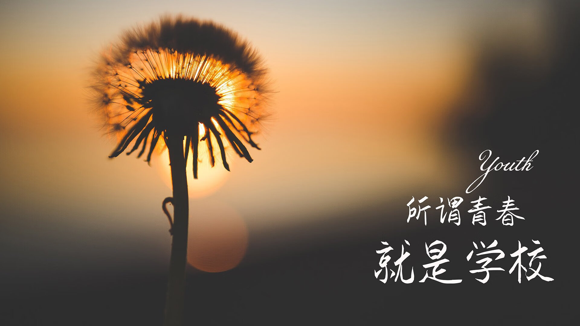 底格里斯河的逆袭，当铁血之蓝阿坎吉，用曼城代码粉碎沙特绿洲