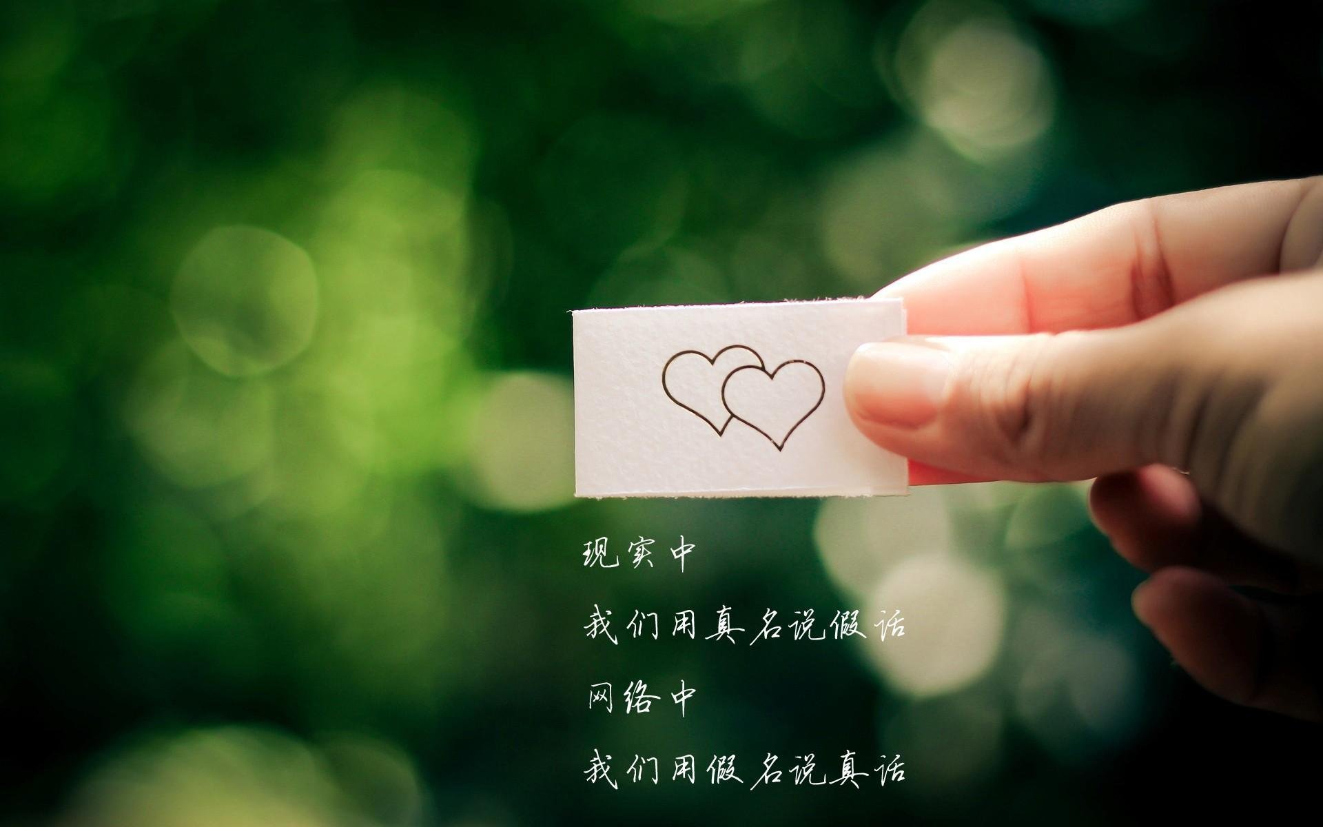 蓝白风暴中的孤勇者，当凯恩在2026世界杯E组撕开乌兹别克斯坦的铁幕