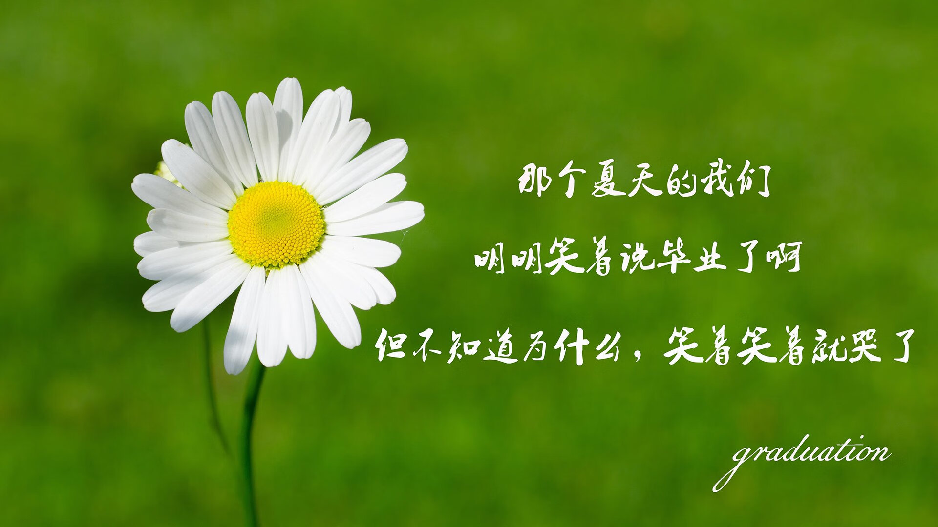 雷火电竞充值-极地烈焰，2026世界杯关键战，维尼修斯冰原突围，澳大利亚主场血战芬兰